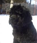 Превью фото № 40091