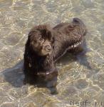 Превью фото № 4027