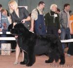 Превью фото № 40314