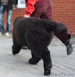 Превью фото № 40318