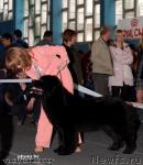 Превью фото № 40522