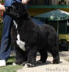 Превью фото № 40661