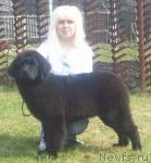 Превью фото № 40684