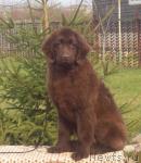 Превью фото № 40699