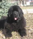 Превью фото № 40765