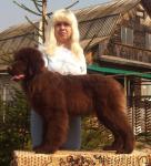 Превью фото № 40776