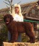 Превью фото № 40777