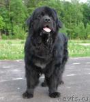 Превью фото № 408