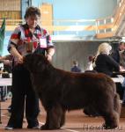 Превью фото № 40830