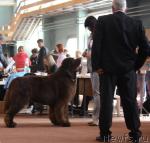 Превью фото № 40841