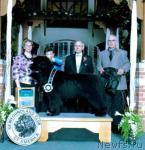 Превью фото № 40862