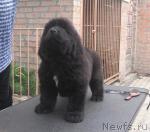 Превью фото № 40976