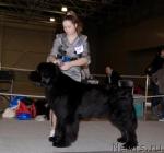 Превью фото № 41109