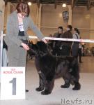 Превью фото № 41162