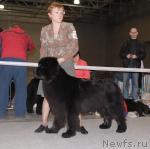 Превью фото № 41176