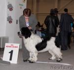 Превью фото № 41178