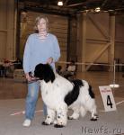 Превью фото № 41180