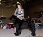 Превью фото № 41181