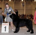 Превью фото № 41183