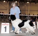 Превью фото № 41214