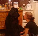 Превью фото № 41480