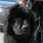 Превью фото № 41481