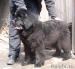 Превью фото № 41563