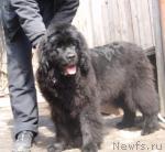 Превью фото № 41564