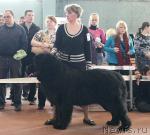 Превью фото № 41780