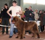 Превью фото № 41782