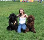 Превью фото № 41982