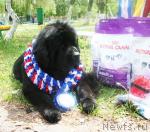 Превью фото № 42013