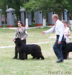 Превью фото № 42100