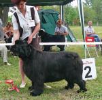 Превью фото № 42199