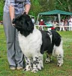 Превью фото № 42215