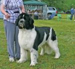 Превью фото № 42217