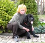 Превью фото № 42234