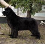 Превью фото № 42599