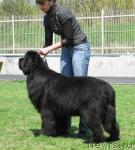 Превью фото № 42641