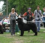 Превью фото № 42731