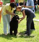 Превью фото № 42818