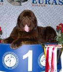 Превью фото № 42963