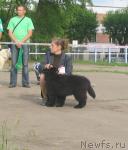 Превью фото № 43280