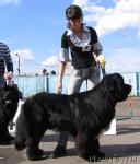 Превью фото № 43312