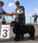 Превью фото № 43314