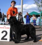 Превью фото № 43315