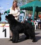 Превью фото № 43317