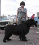 Превью фото № 43319