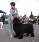 Превью фото № 43320