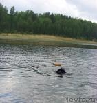 Превью фото № 43331